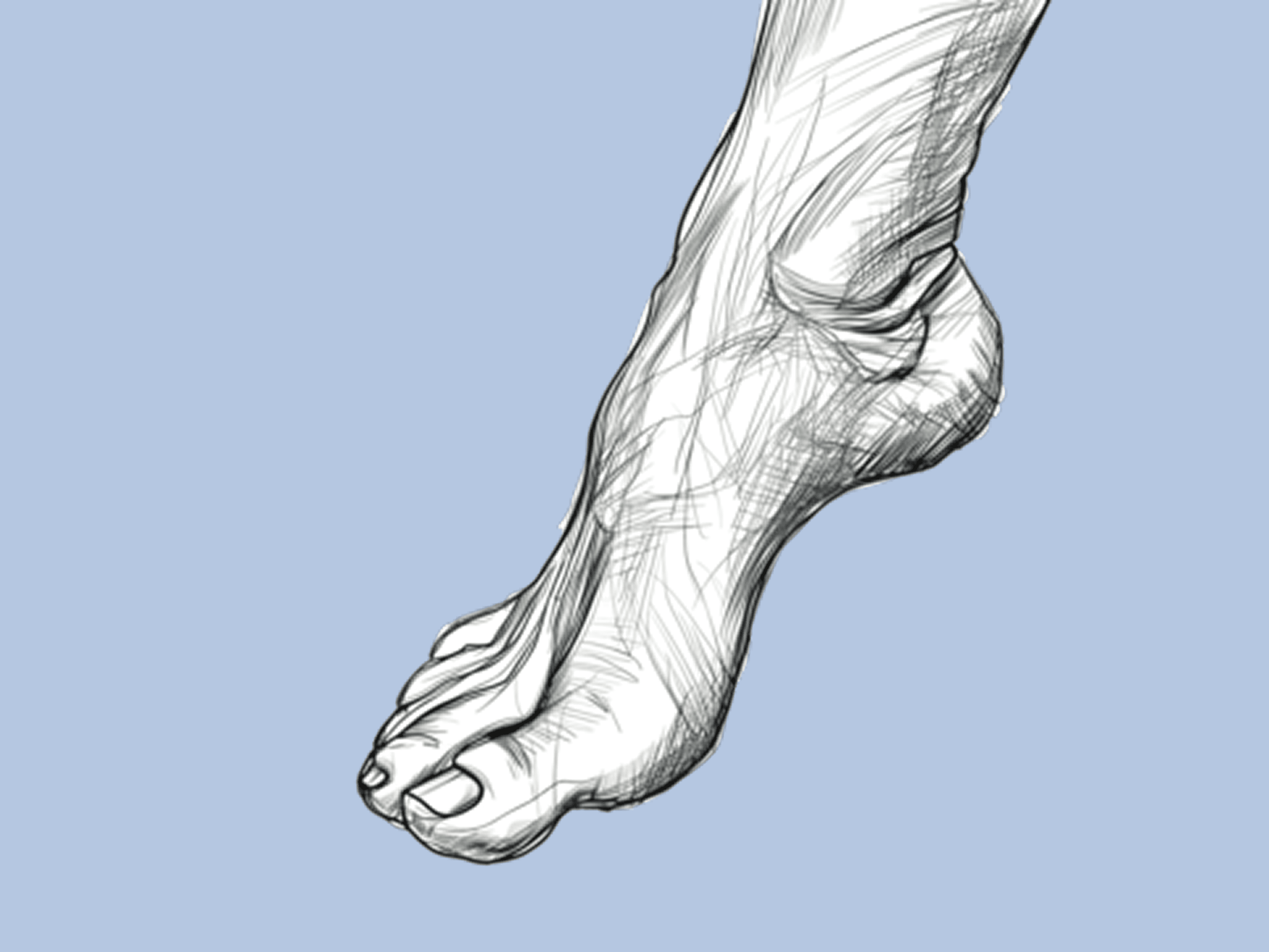 Foot and Ankle Parametric Model for a Diverse Population