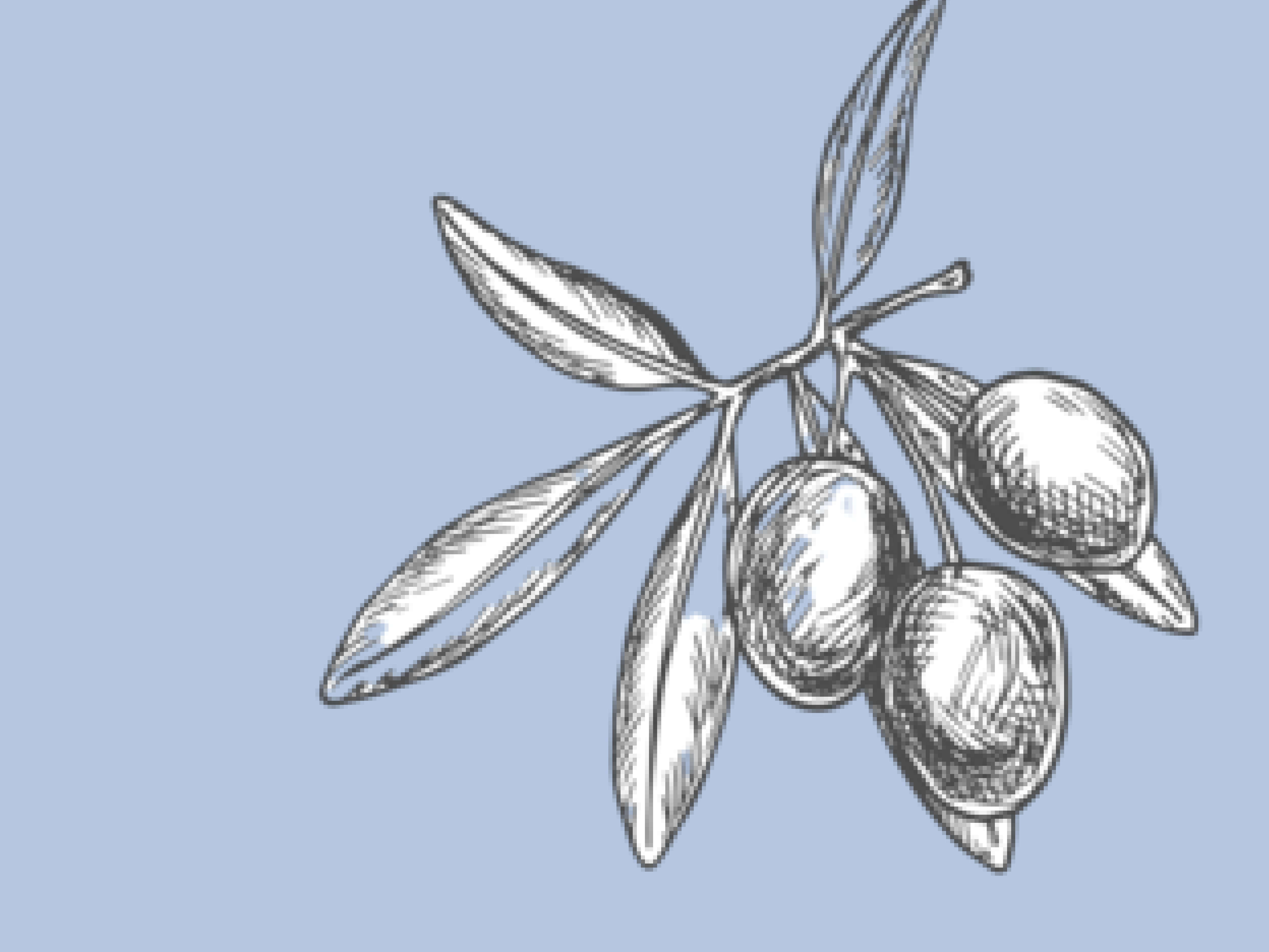 Olive Hill Farm Investment Analysis